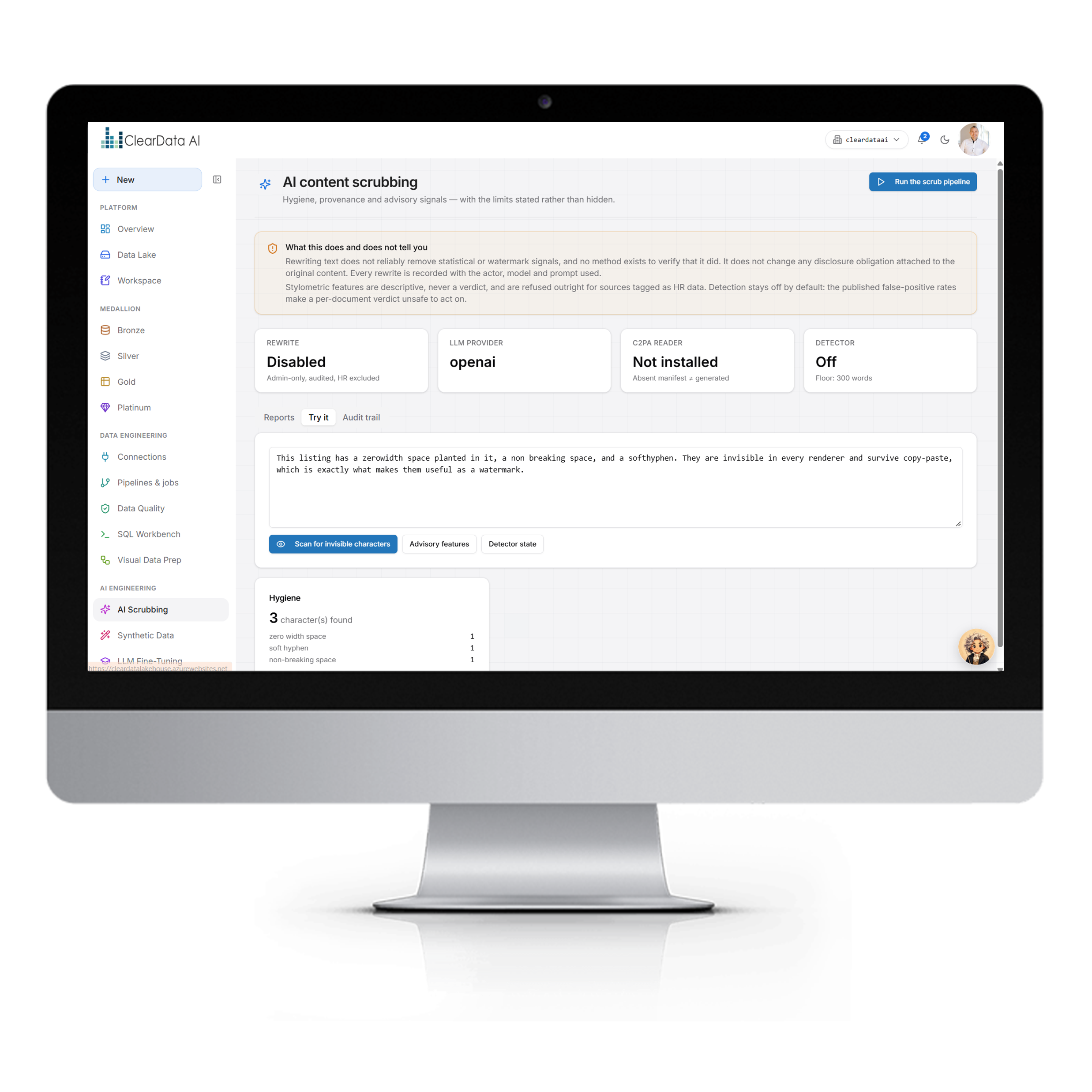 AI Data Foundry intelligent data cleansing: AI scrubbing report with hidden characters removed per column and content provenance