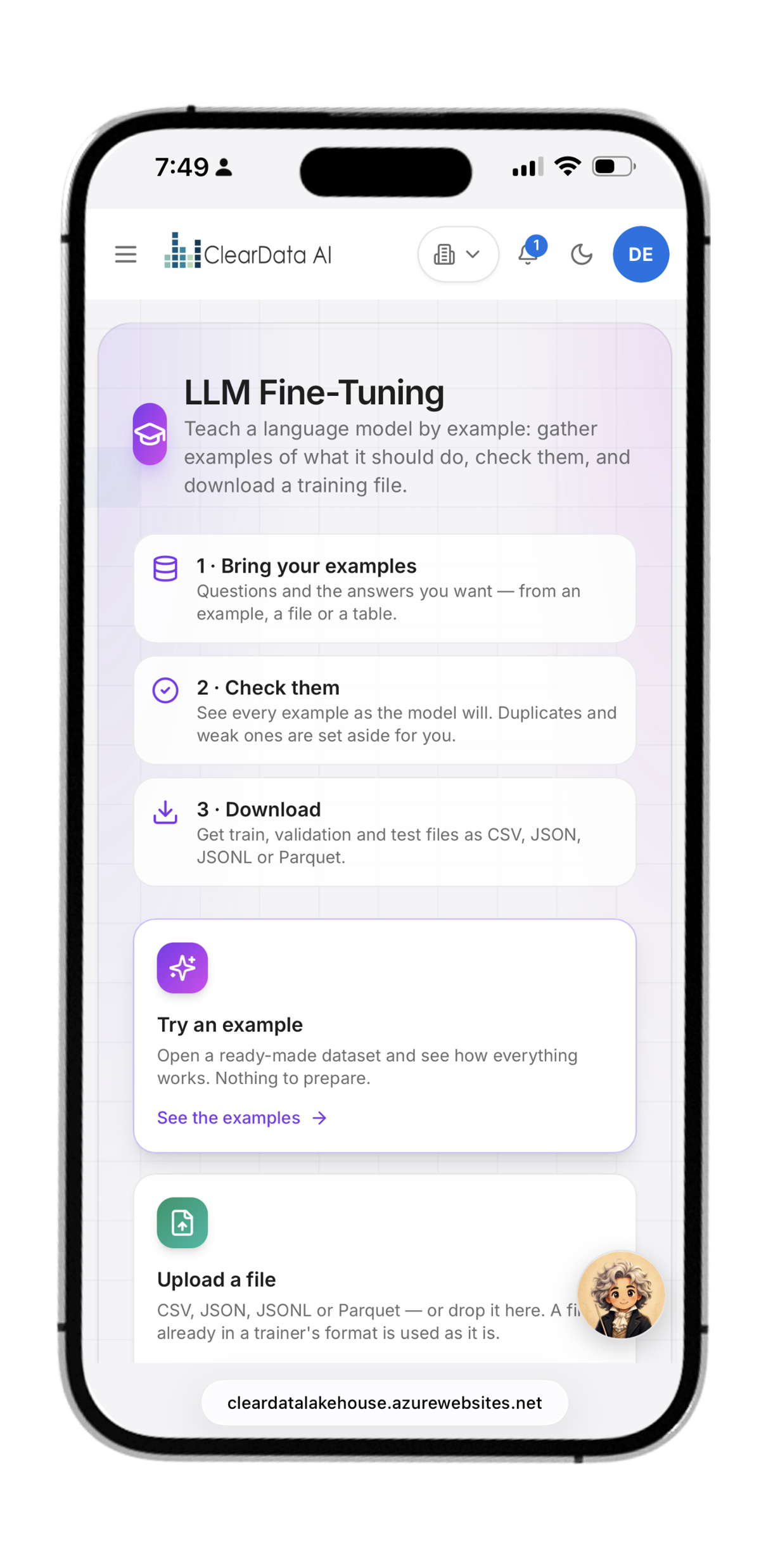 Fine-tuning dataset review with set-aside explanations on mobile