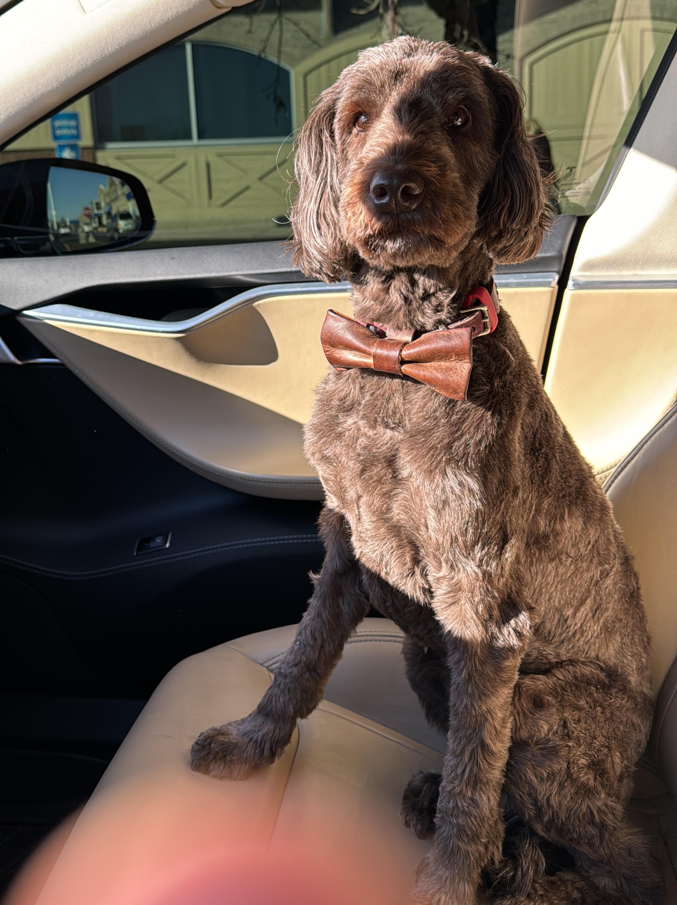 Odo, Chief Doodle Officer at ClearData AI